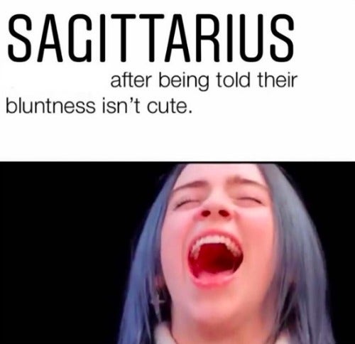 Best Sagittarius Memes