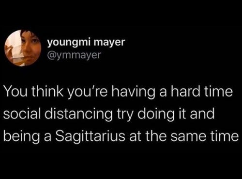 Best Sagittarius Memes