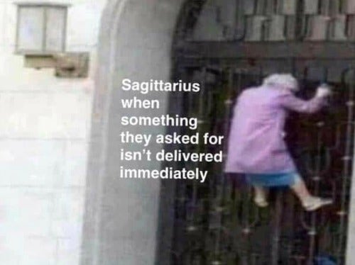 Best Sagittarius Memes