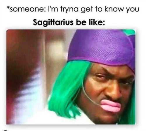 Best Sagittarius Memes