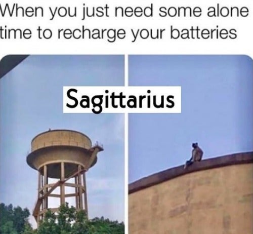 Best Sagittarius Memes