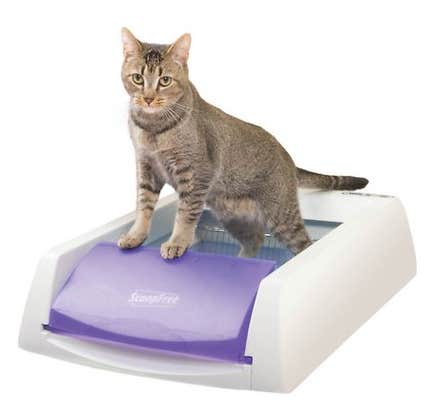 scoop free self cleaning cat litter box