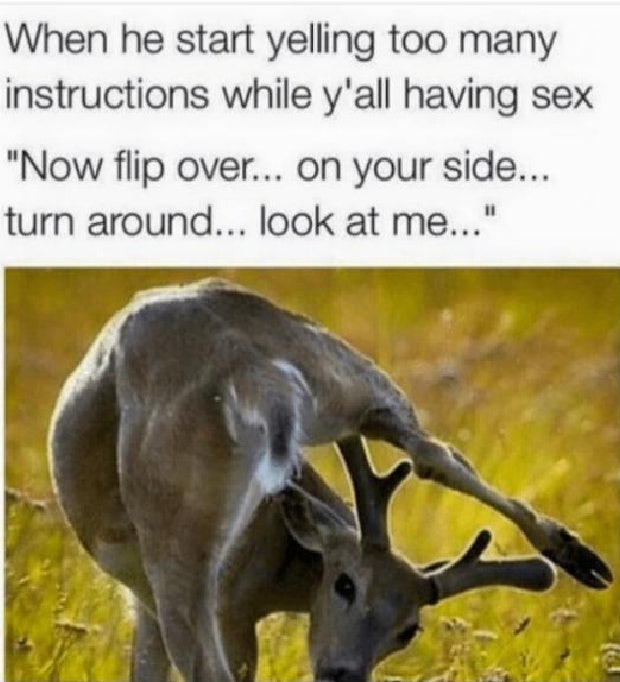 sex memes