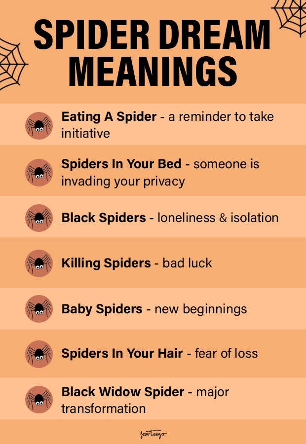 spider dream meanings