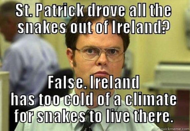 st patricks day memes