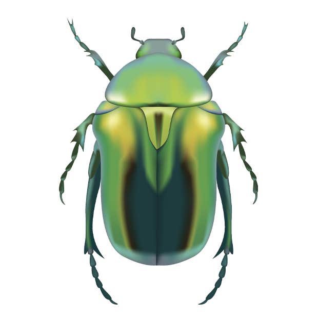 symbols of strength scarab beetle