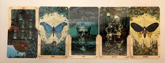 november 2020 tarot card reading