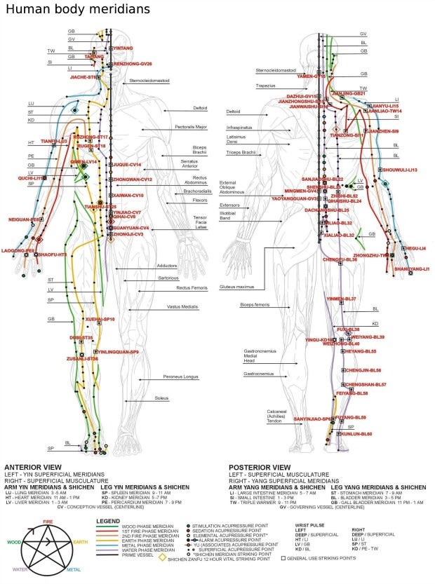 Traditional Chinese Medicine meridians