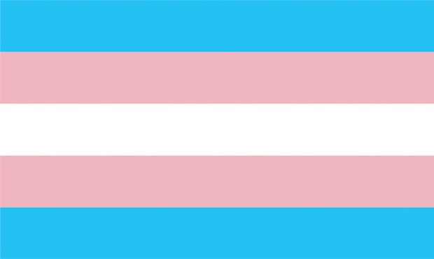 Transgender Pride Flag