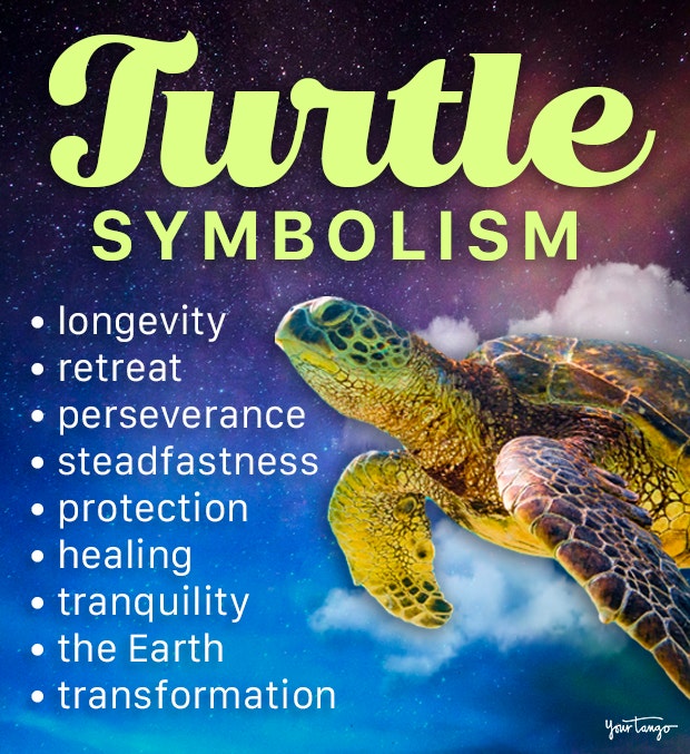 turtle symbolism and meanings