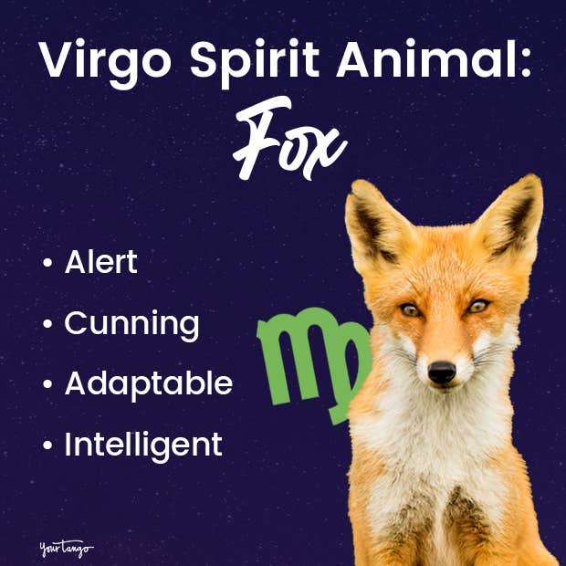 virgo spirit animal fox