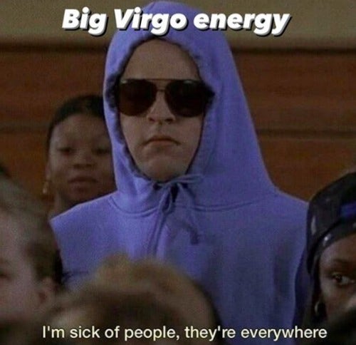 Best Virgo Memes