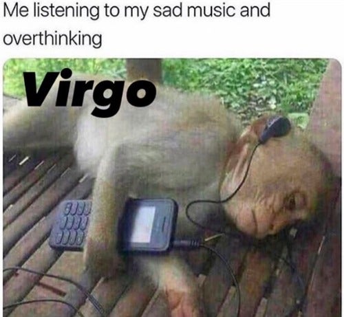 Best Virgo Memes