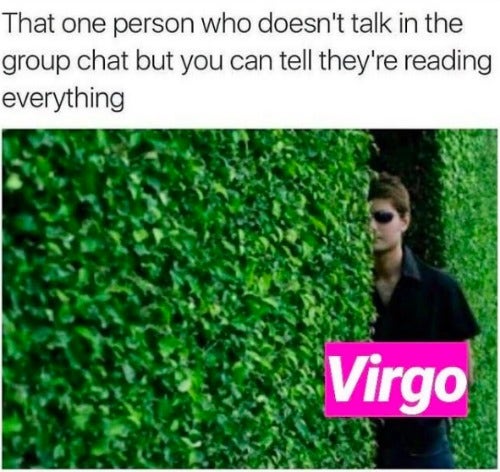 Best Virgo Memes