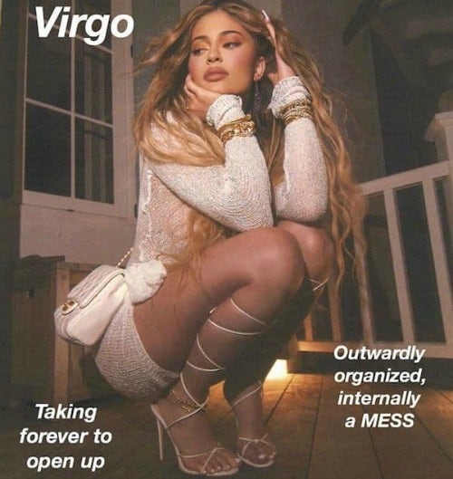 Best Virgo Memes