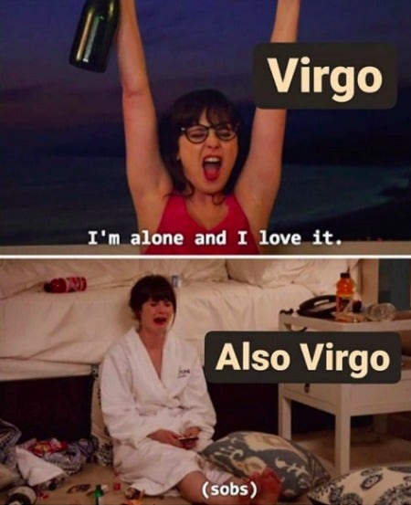 Best Virgo Memes