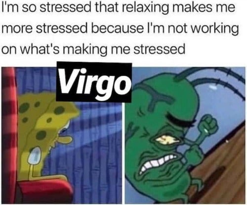 Best Virgo Memes