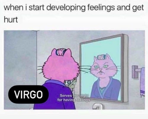 Best Virgo Memes