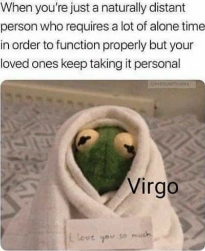 Best Virgo Memes