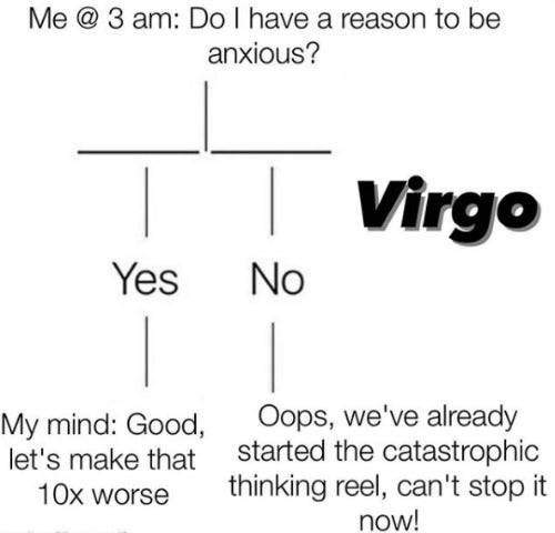 Best Virgo Memes