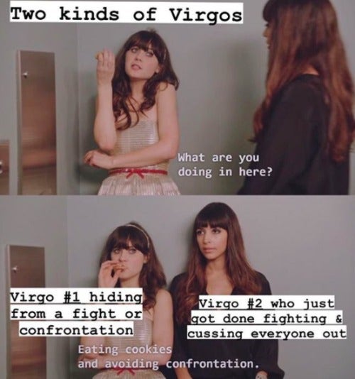 Best Virgo Memes