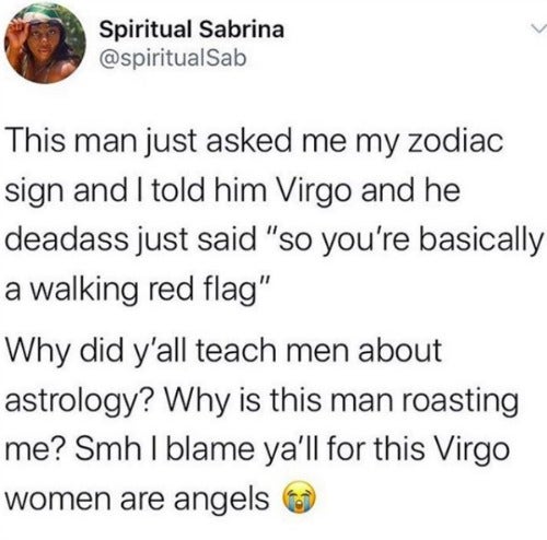 Best Virgo Memes