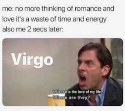 Best Virgo Memes