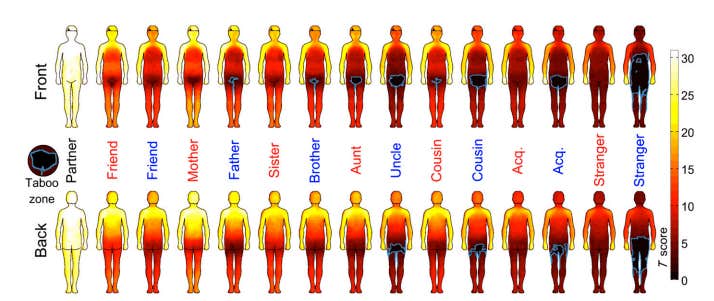 chart shows where men and women want to be touched pnas study