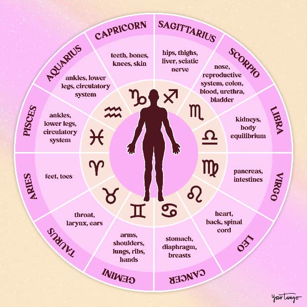 zodiac body parts chart