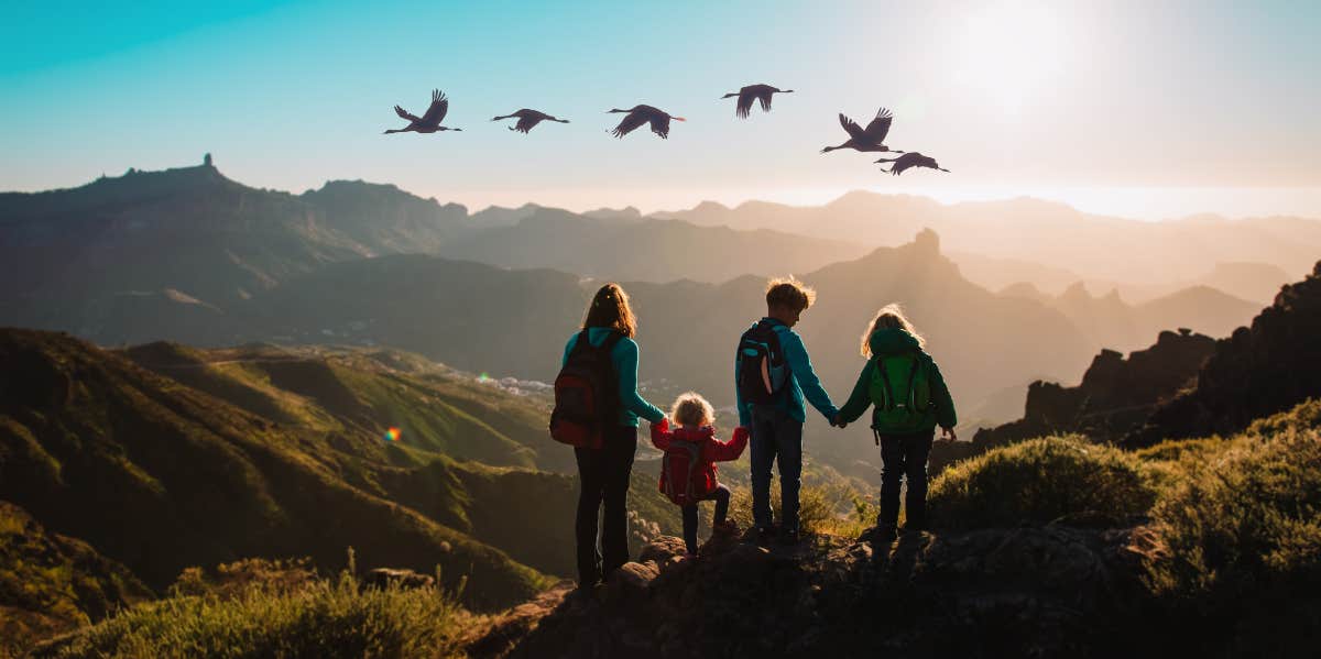 family hiking mountain, in nature