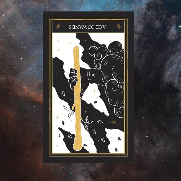 aquarius weekly tarot horoscope ace of wands reversed