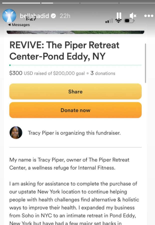 bella hadid piper gofundme