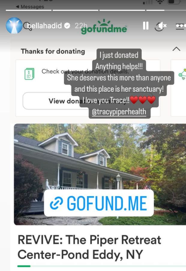 bella hadid gofundme post