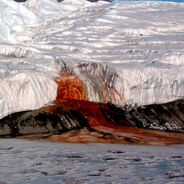 blood falls antarctica