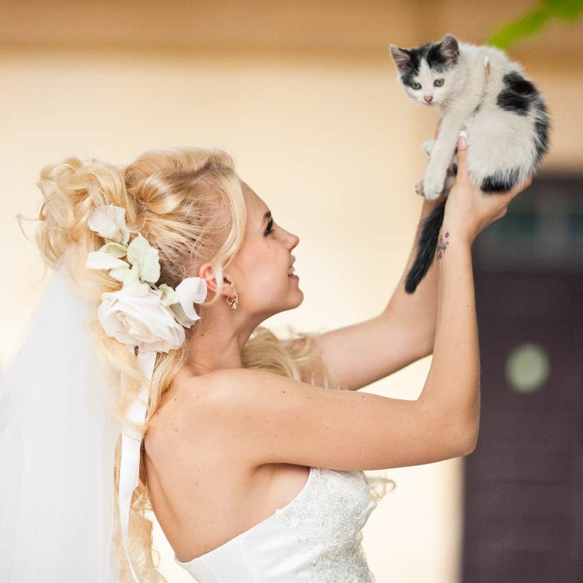 A Stray Kitten Crashes A Couple&#039;s Wedding Ceremony And Finds Herself A New Forever Home