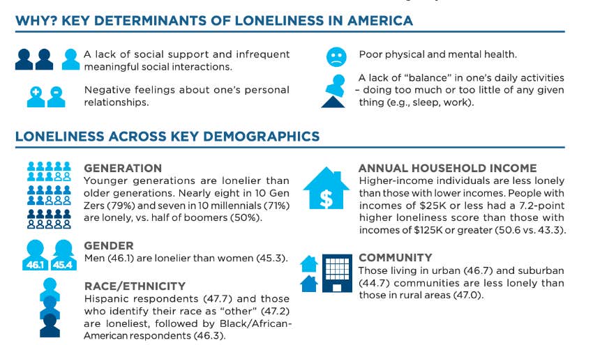 causes of loneliness infographic