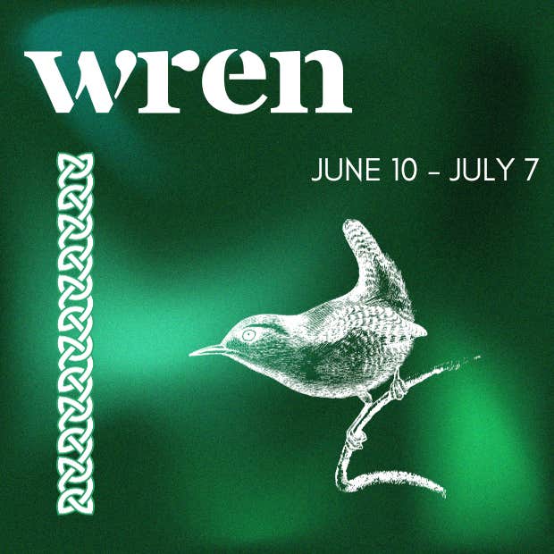 celtic animal zodiac sign wren