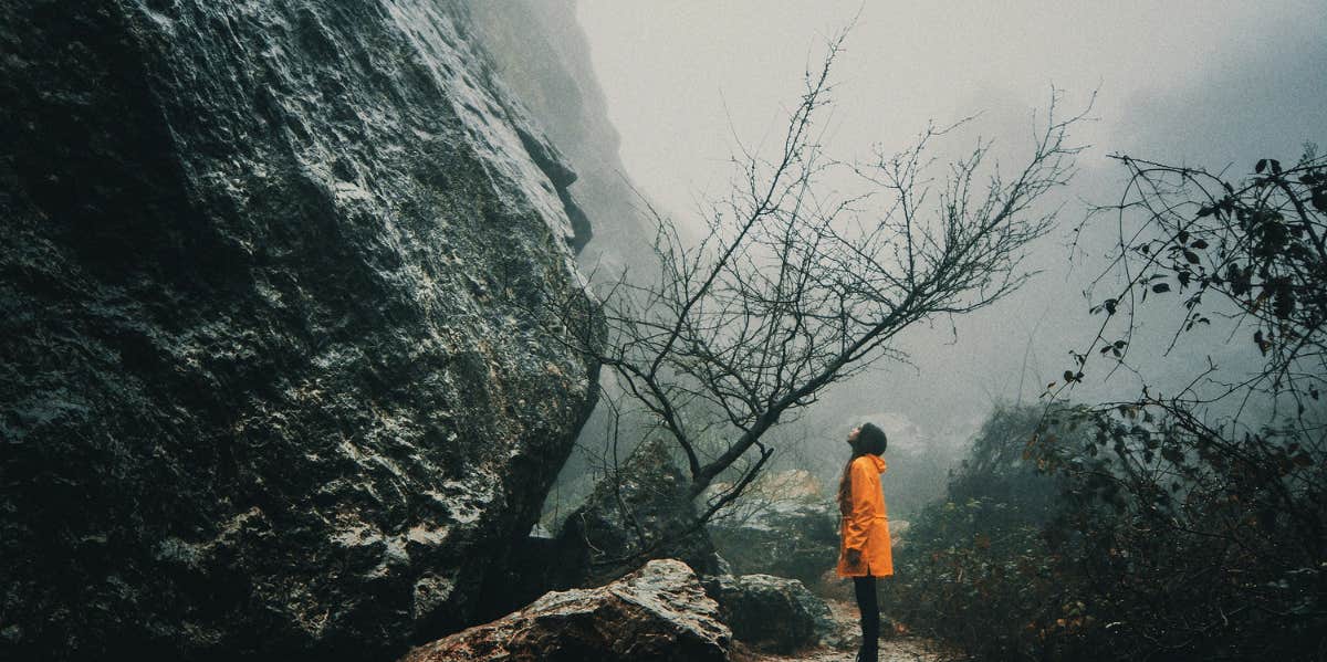 Woman wandering outside, looking up at a tree