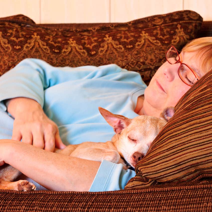 signs your dog thinks of you as their mom or dad