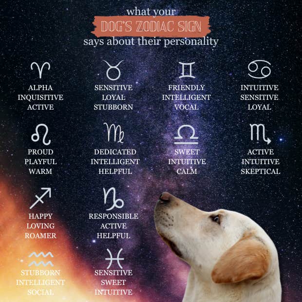 dog zodiac signs list