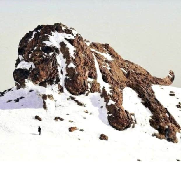 emotionally volatile test mountain that looks like a dog