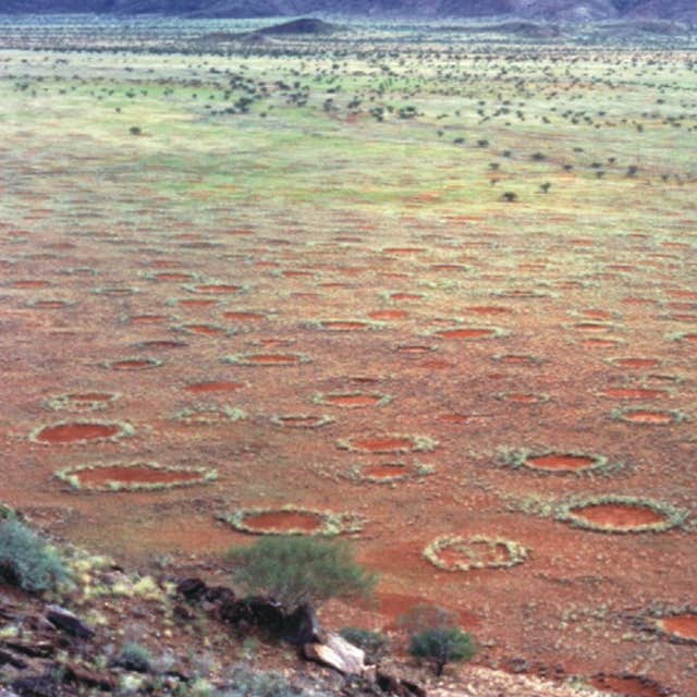 Fairy Circles, Namibia