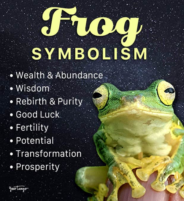 frog spirit animal