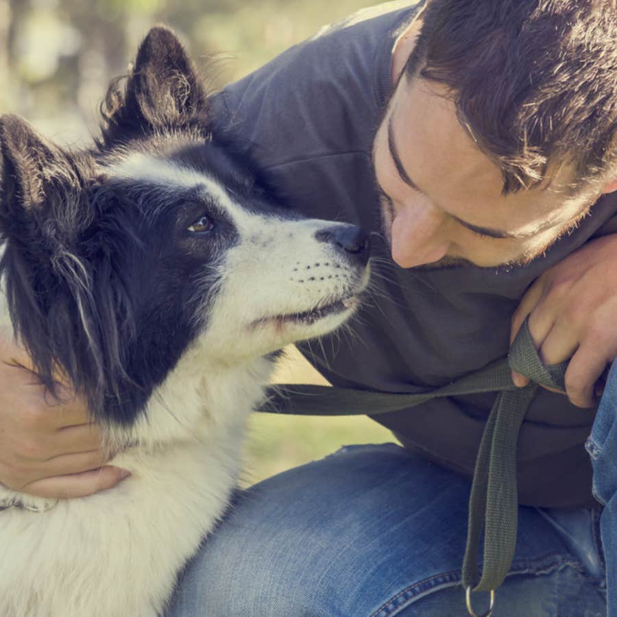 Guy Promises He’s Not Going To Keep His ‘Aggressive’ Foster Dog Whose Former Family Did Not Feel Safe In The House With Him 