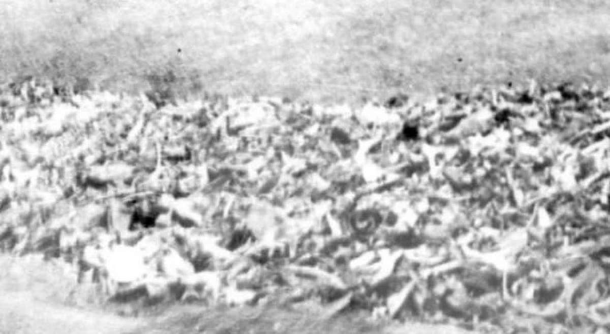 Mauthausen concentration camp liberation corpses