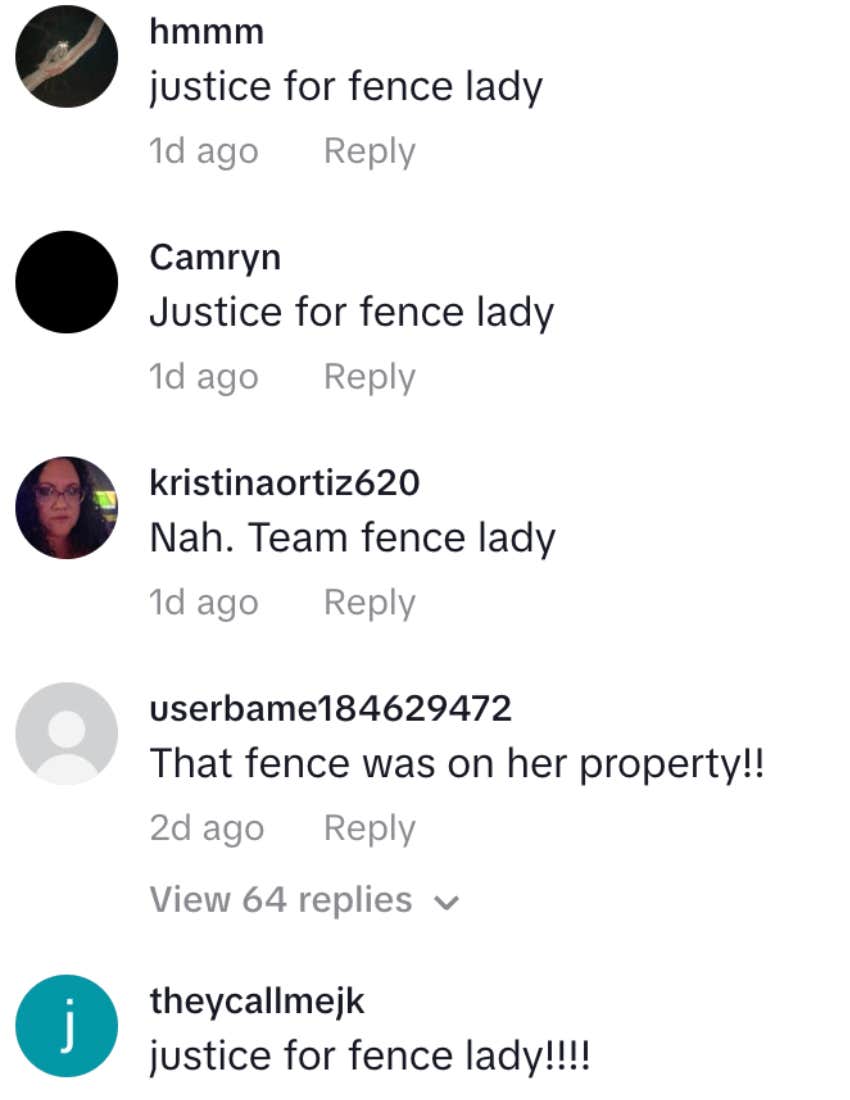 comments about viral tiktok fence lady neighbors fence dispute