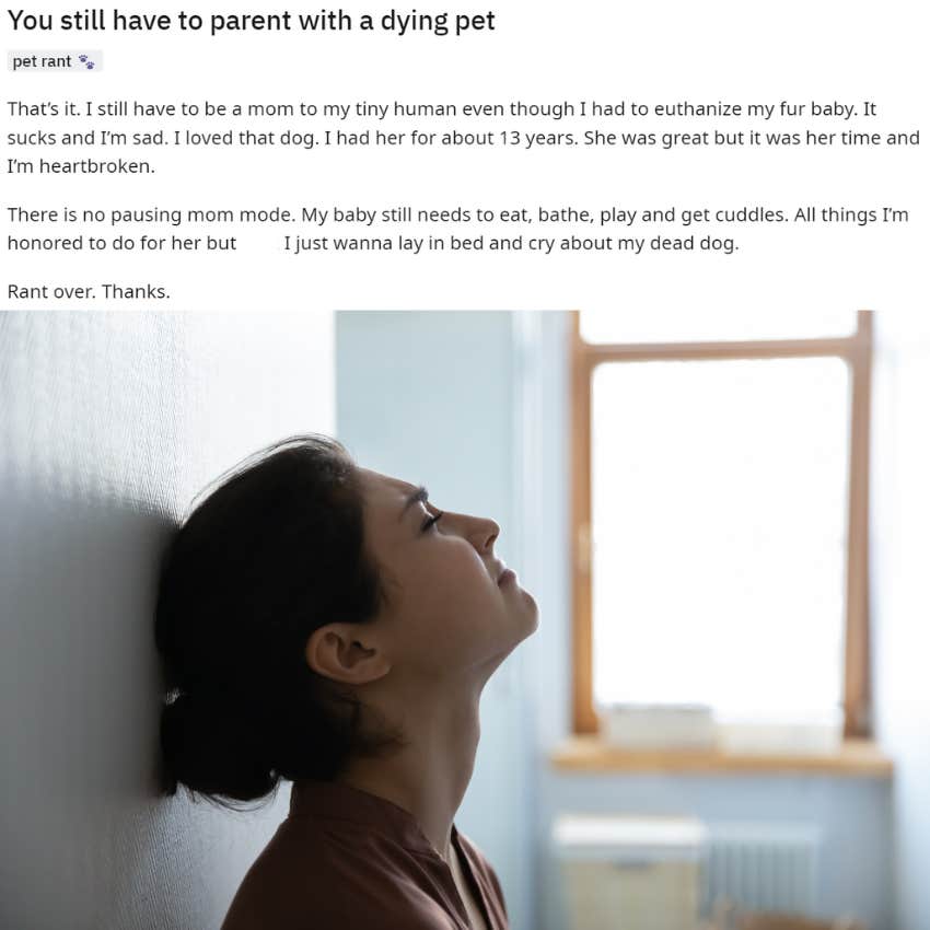 you still have to parent with a dying pet reddit post