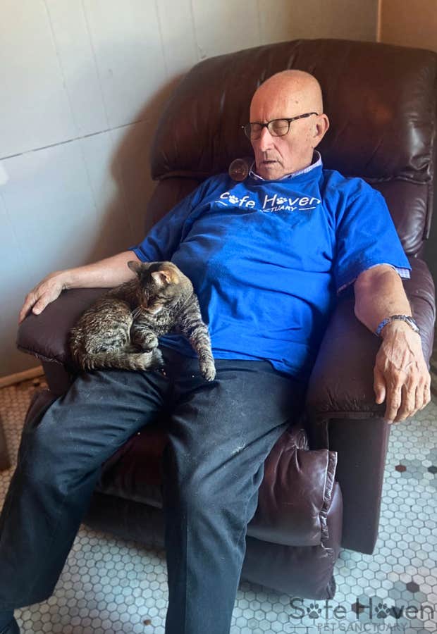 Terry Lauerman, a professional cat napper, sleeps quietly on an armchair with a special fur friend.
