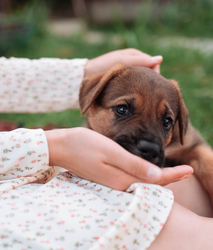 woman petting a puppy