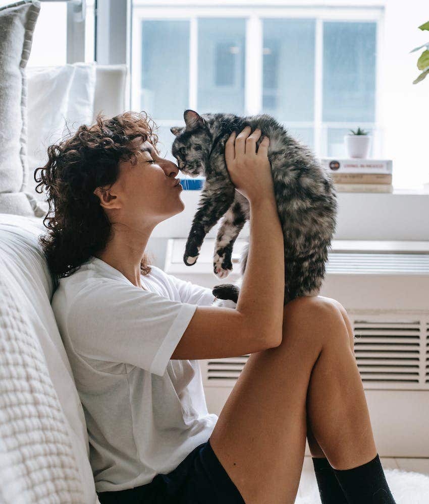 main differences between dog people and cat people